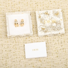 Christian Dior Earrings